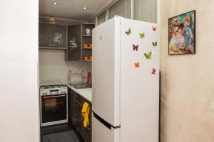 kuchnia z lodówką z motylami w obiekcie Alionas home w mieście Tbilisi City