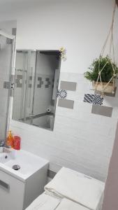 マドリードにあるAPARTAMENTO PLAZA MAYORのバスルーム(シャワー、シンク、鏡付)
