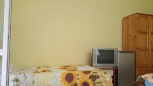 a bedroom with a bed and a television at На гости при Силвия in Obzor