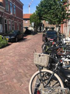 Afbeelding uit fotogalerij van Poelgeeststraat in Leiden