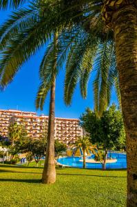 Bazén v ubytovaní 102 Estudio en Jupiter Apartmentos - Piscina y Playa - Excelente Ubicación alebo v jeho blízkosti + 23 fotografií