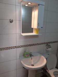 a bathroom with a sink and a mirror and a toilet at Sobe Gmitrovic in Rtanj