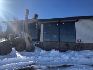 The Coachman Ski Lodge في Smiggin Holes: أمامه بيت فيه ثلج +17 صورة