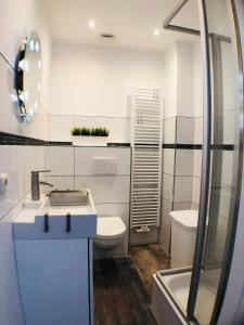 La salle de bains est pourvue d'un lavabo, de toilettes et d'une douche. dans l'établissement Hafencity Apartments, à Tönning