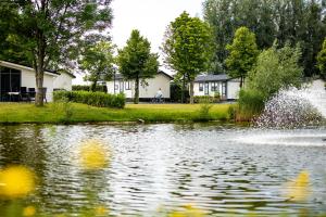 Aalst的住宿－TopParken – Recreatiepark het Esmeer，一座房子前面的池塘,喷泉