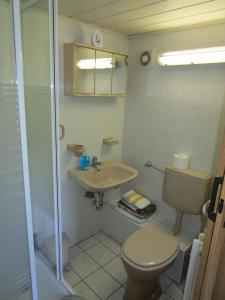 uma casa de banho com um WC, um lavatório e um chuveiro em Pension Sabine em Lützen
