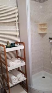 a bathroom with a shower and a shelf with towels at Apartma Lilu in Koper