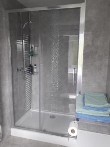 W łazience znajduje się prysznic ze szklanymi drzwiami. w obiekcie Old Orchard Bed & Breakfast w mieście Froggatt