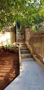 a stairway with a wooden fence and a tree at STAY AS A TRUE LOCAL in Athens