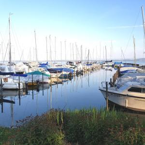a bunch of boats are docked in a harbor at Littoral Lac in Gorgier