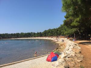 Príroda v okolí apartmánu