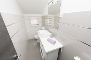 een witte badkamer met een toilet en een spiegel bij Castua-apartment with private heated pool in Kastav +4 foto's