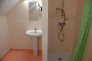 a bathroom with a sink and a shower at GITE DU MONT AIGUILLE in Chichilianne
