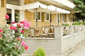 Zahrada ubytování Hotel Garni