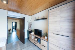 Televízia a/alebo spoločenská miestnosť v ubytovaní Bier-Lak Apartman House 71