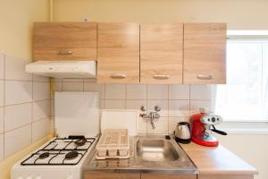 Kuchyňa alebo kuchynka v ubytovaní Bier-Lak Apartman House 71