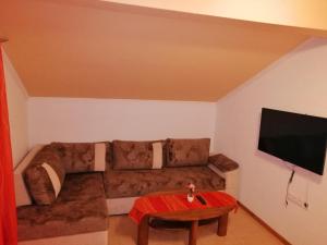 sala de estar con sofá y TV de pantalla plana en Apartments Ema, en Ivanica