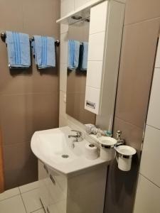 a bathroom with a sink and a mirror at Apartments Ema in Ivanica