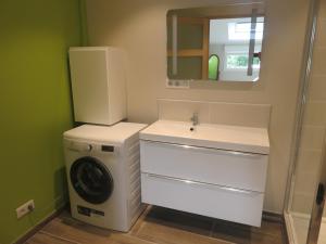 a bathroom with a washing machine and a sink at Le gîte de Ballage in Chemillé-sur-Dême