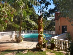 a palm tree next to a swimming pool at Sítio Primavera in Pirenópolis