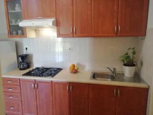 Kuchyňa alebo kuchynka v ubytovaní Apartments Jadranka Ivana Pula