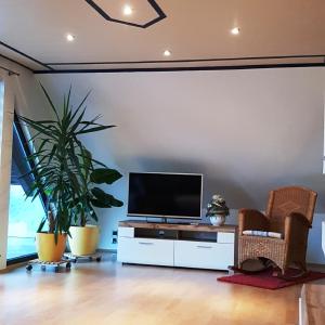 ein Wohnzimmer mit einem Flachbild-TV und Pflanzen in der Unterkunft Ferienwohnung In Bestform in Merkendorf