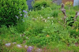 a garden filled with lots of grass and flowers at Blockhaus in Gnarrenburg +2 photos