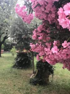 Afbeelding uit fotogalerij van La Casa di Claudia in Florence +39 foto's