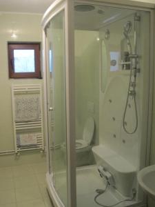 un baño con ducha y WC en Casa Renti, en Novaci-Străini 43 fotos más