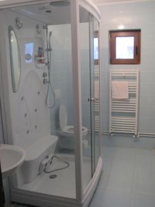 a bathroom with a shower and a toilet and a sink at Casa Renti in Novaci-Străini