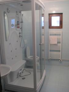 Un baño con ducha, inodoro y lavabo. en Casa Renti, en Novaci-Străini