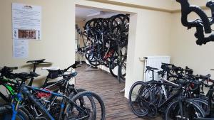 Attività di ciclismo presso l'hotel o nelle vicinanze