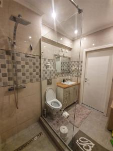 a bathroom with a shower and a toilet and a sink at Evys Apartment in Mamaia Sat/Năvodari