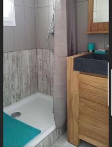 a bathroom with a shower with a tub and a sink at Maison carnac plage in Carnac