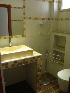 een badkamer met een wastafel en een toilet bij PIETROSELLA Plage du RUPIONE in Pietrosella
