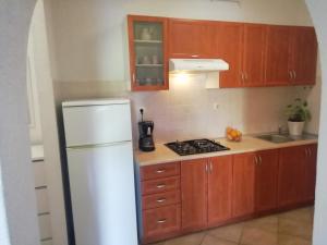 Kuchyňa alebo kuchynka v ubytovaní Apartments Jadranka Ivana Pula