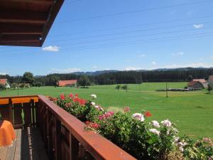 una terraza con flores y vistas al campo en Ferienwohnung Steible, en Isny im Allgäu