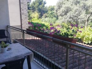 Balkón alebo terasa v ubytovaní Apartments Jadranka Ivana Pula