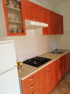 kuchnia z drewnianymi szafkami i piekarnikiem w obiekcie Apartments Jadranka Ivana Pula w Puli