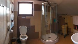 a bathroom with a shower and a toilet and a sink at Casa Tinu in Cenad +37 photos