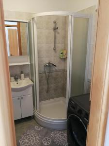 een kleine badkamer met een douche en een wastafel bij Studio Berni in Stanići