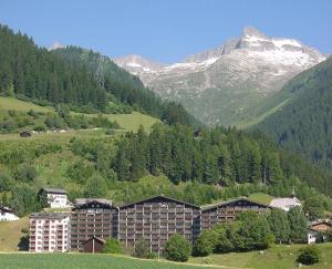un gruppo di edifici in una valle con una montagna di Disentis mountain view a Disentis