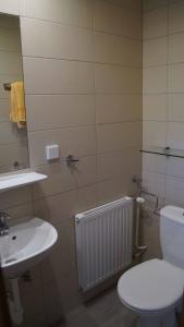 a bathroom with a white toilet and a sink at Weinbau und Gästezimmer Pammer in Mitterarnsdorf