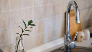 a plant in a glass vase on a kitchen sink at Aska Apartment in Bar +41 photos