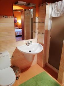 a bathroom with a sink and a toilet and a mirror at EcoHotel Rural Angiz in Busturia