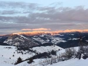 Afbeelding uit fotogalerij van Guest House Chala in Chala
