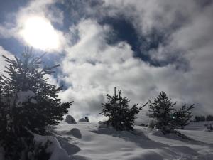Afbeelding uit fotogalerij van Guest House Chala in Chala
