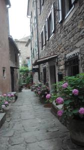 un callejón de piedra con flores frente a un edificio en Rooms Svalina Adults Only, en Grožnjan