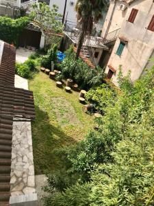 a garden with plants and a building and stairs at Apartments Ivanišević in Kotor