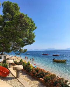 a beach with people in the water and a tree at APARTMANI NOVA in Živogošće